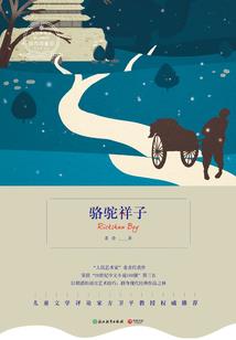 深漂去老婆公司旅游攻略
