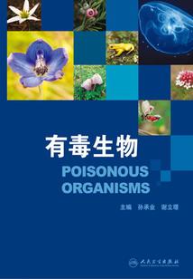 泰国旅游办什么签证